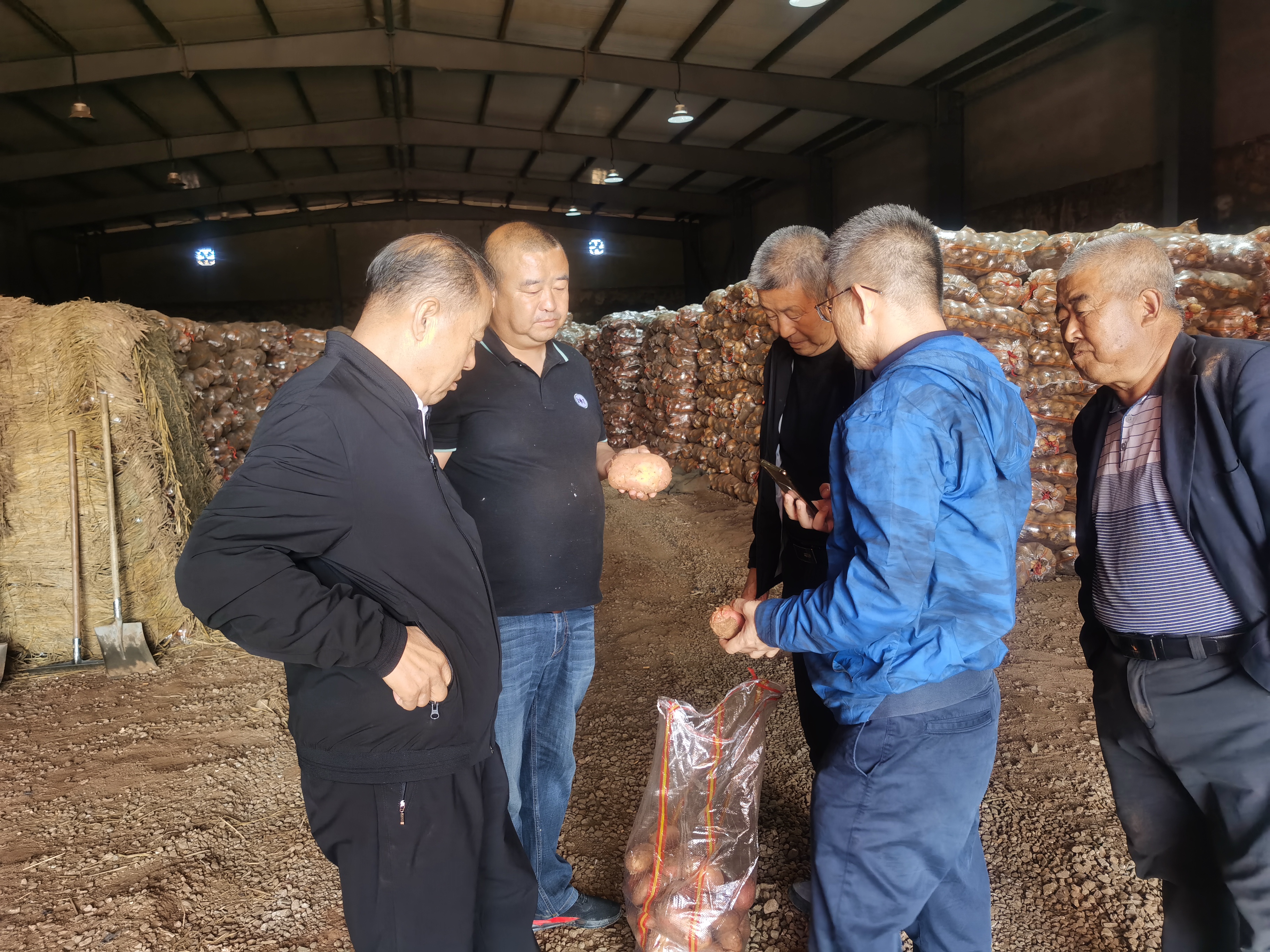 資源對接，互惠共贏 借助商協會平臺優(yōu)勢助力內蒙古馬鈴薯 企業(yè)開拓山東市場