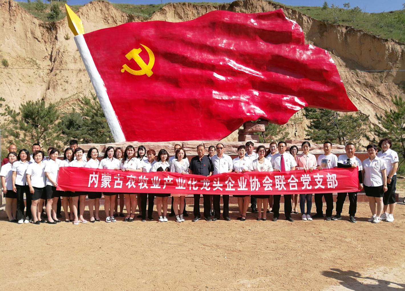 內(nèi)蒙古農(nóng)牧業(yè)產(chǎn)業(yè)化龍頭企業(yè)協(xié)會走進石人灣村開展“辦實事、解難題，送溫暖，傳黨恩”公益活動